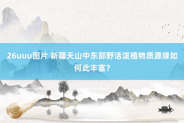 26uuu图片 新疆天山中东部野活泼植物质源缘如何此丰富？