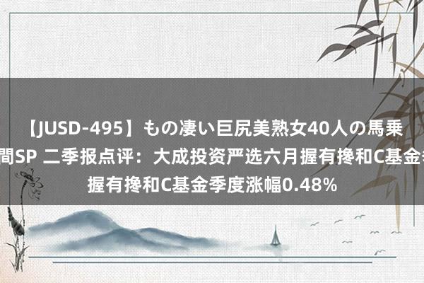 【JUSD-495】もの凄い巨尻美熟女40人の馬乗りファック8時間SP 二季报点评：大成投资严选六月握有搀和C基金季度涨幅0.48%