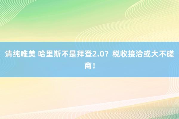 清纯唯美 哈里斯不是拜登2.0？税收接洽或大不磋商！