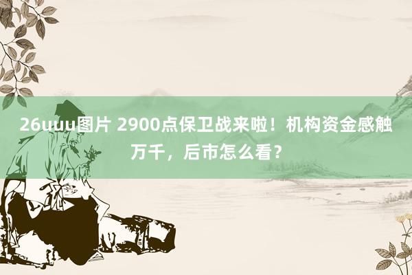 26uuu图片 2900点保卫战来啦！机构资金感触万千，后市怎么看？