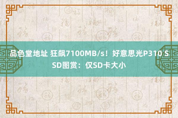 品色堂地址 狂飙7100MB/s！好意思光P310 SSD图赏：仅SD卡大小