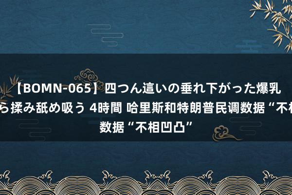 【BOMN-065】四つん這いの垂れ下がった爆乳を下から揉み舐め吸う 4時間 哈里斯和特朗普民调数据“不相凹凸”