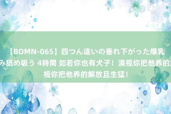 【BOMN-065】四つん這いの垂れ下がった爆乳を下から揉み舐め吸う 4時間 如若你也有犬子！漠视你把他养的解放且生猛！