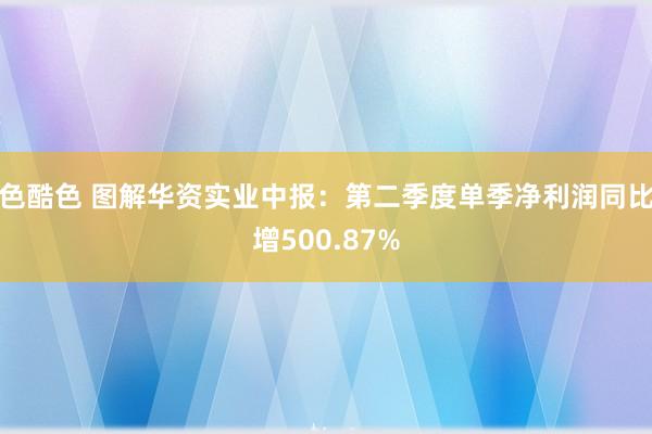 色酷色 图解华资实业中报：第二季度单季净利润同比增500.87%