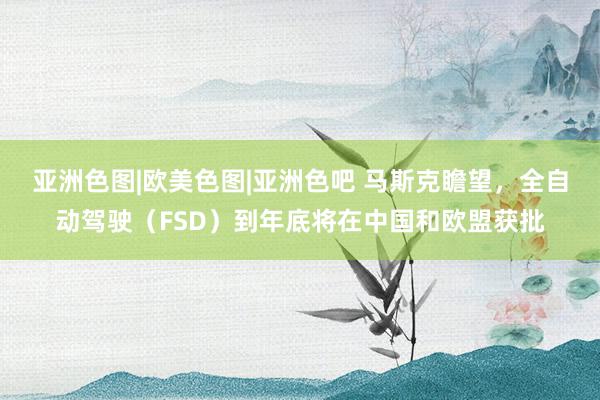 亚洲色图|欧美色图|亚洲色吧 马斯克瞻望，全自动驾驶（FSD）到年底将在中国和欧盟获批