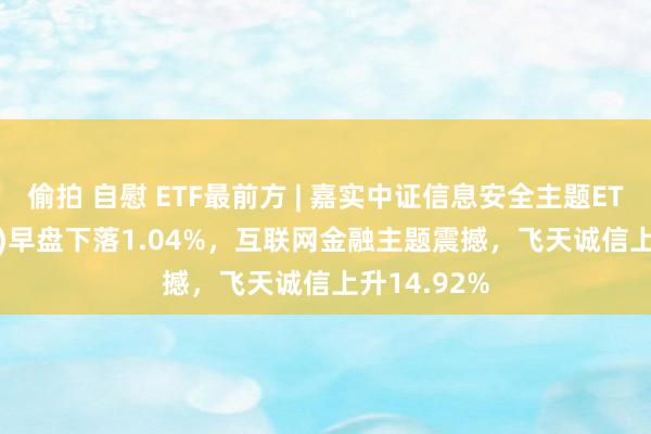 偷拍 自慰 ETF最前方 | 嘉实中证信息安全主题ETF(159613)早盘下落1.04%，互联网金融主题震撼，飞天诚信上升14.92%