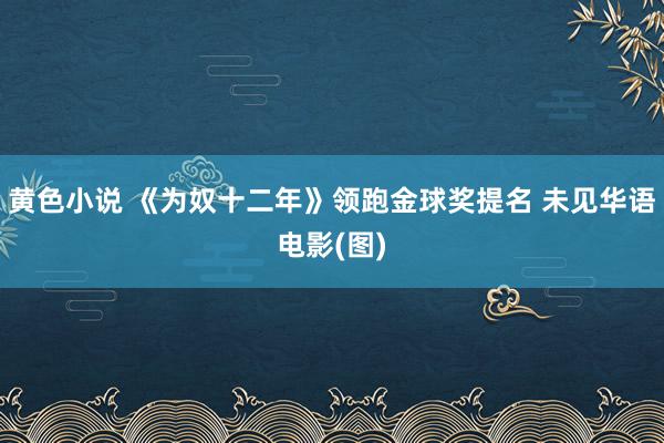 黄色小说 《为奴十二年》领跑金球奖提名 未见华语电影(图)