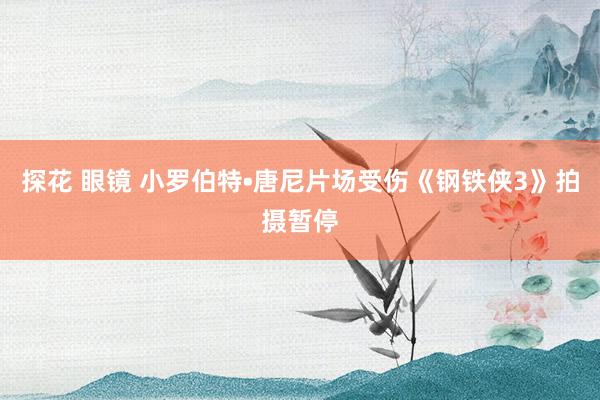 探花 眼镜 小罗伯特•唐尼片场受伤《钢铁侠3》拍摄暂停