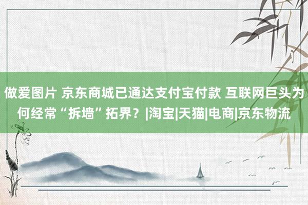 做爱图片 京东商城已通达支付宝付款 互联网巨头为何经常“拆墙”拓界？|淘宝|天猫|电商|京东物流