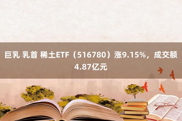 巨乳 乳首 稀土ETF（516780）涨9.15%，成交额4.87亿元