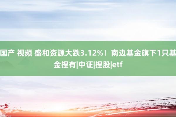 国产 视频 盛和资源大跌3.12%！南边基金旗下1只基金捏有|中证|捏股|etf