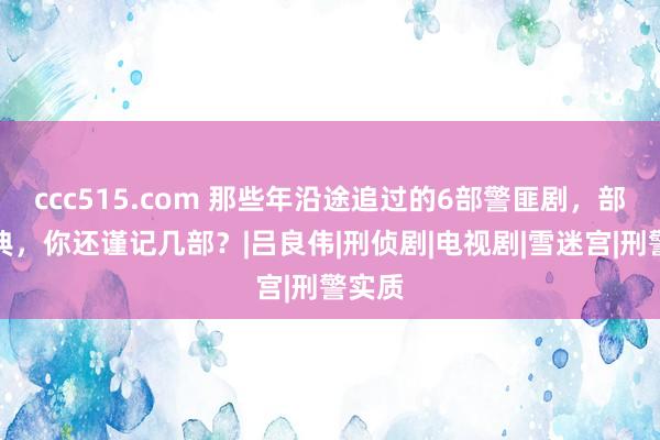 ccc515.com 那些年沿途追过的6部警匪剧，部部经典，你还谨记几部？|吕良伟|刑侦剧|电视剧|雪迷宫|刑警实质